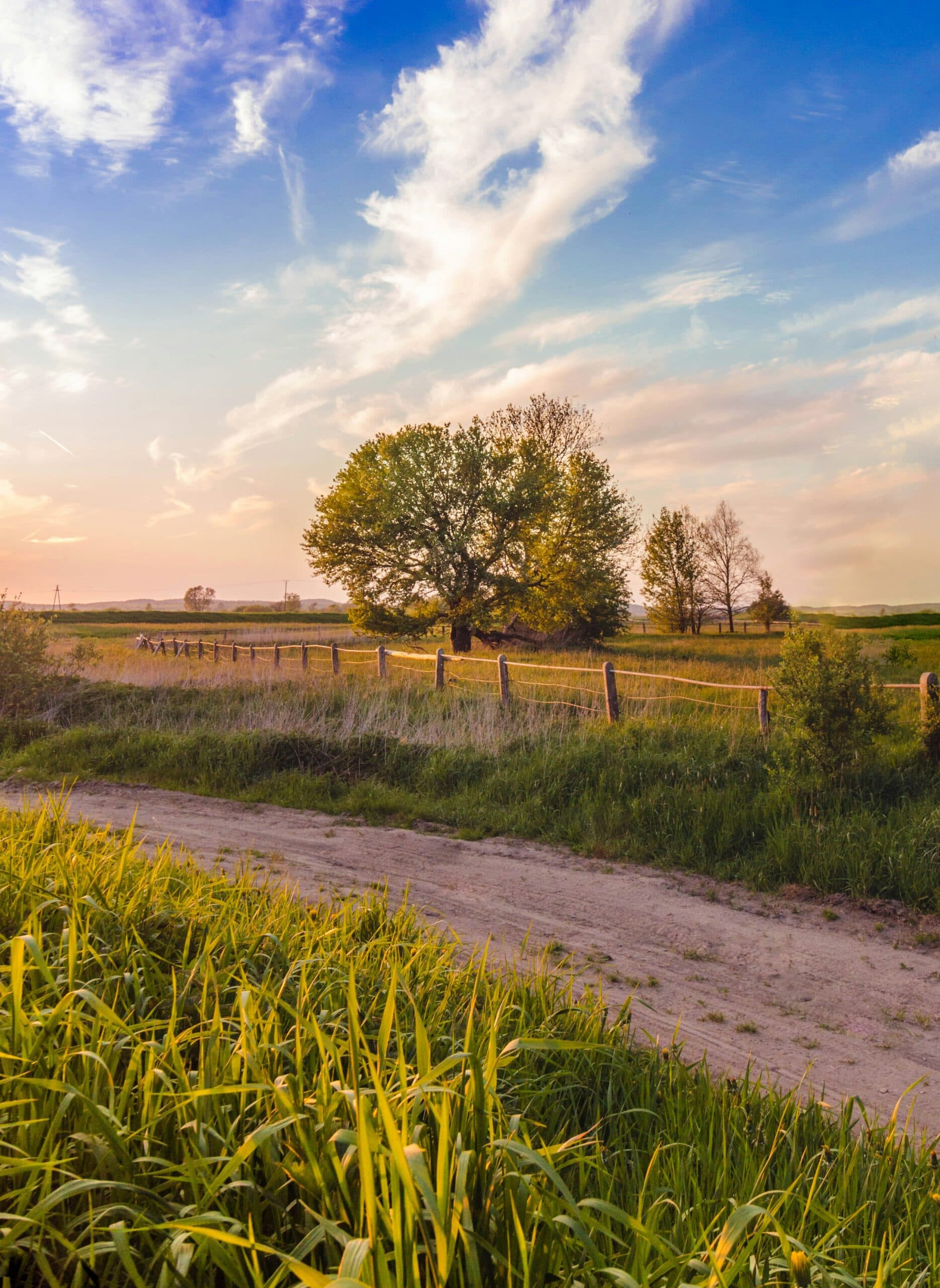 Cover image for Owner Financing Done Right: What Buyers Must Know